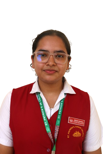 MEDHABANSAL(ACTIVITY VICE CAPTAIN)